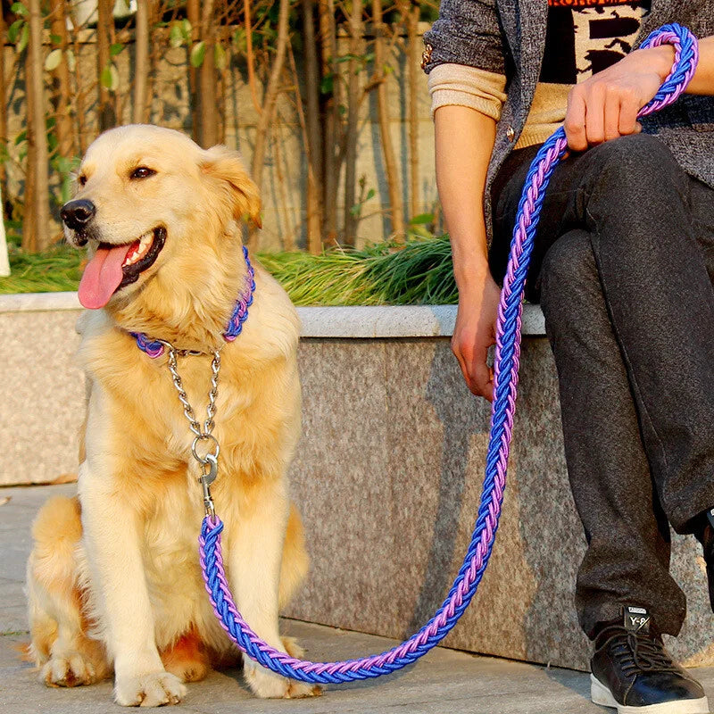 Swivel Locking Carabiner Clips Heavy Duty  Eco-friendly Material European Standard for Securing Pets Dog Leash Harness