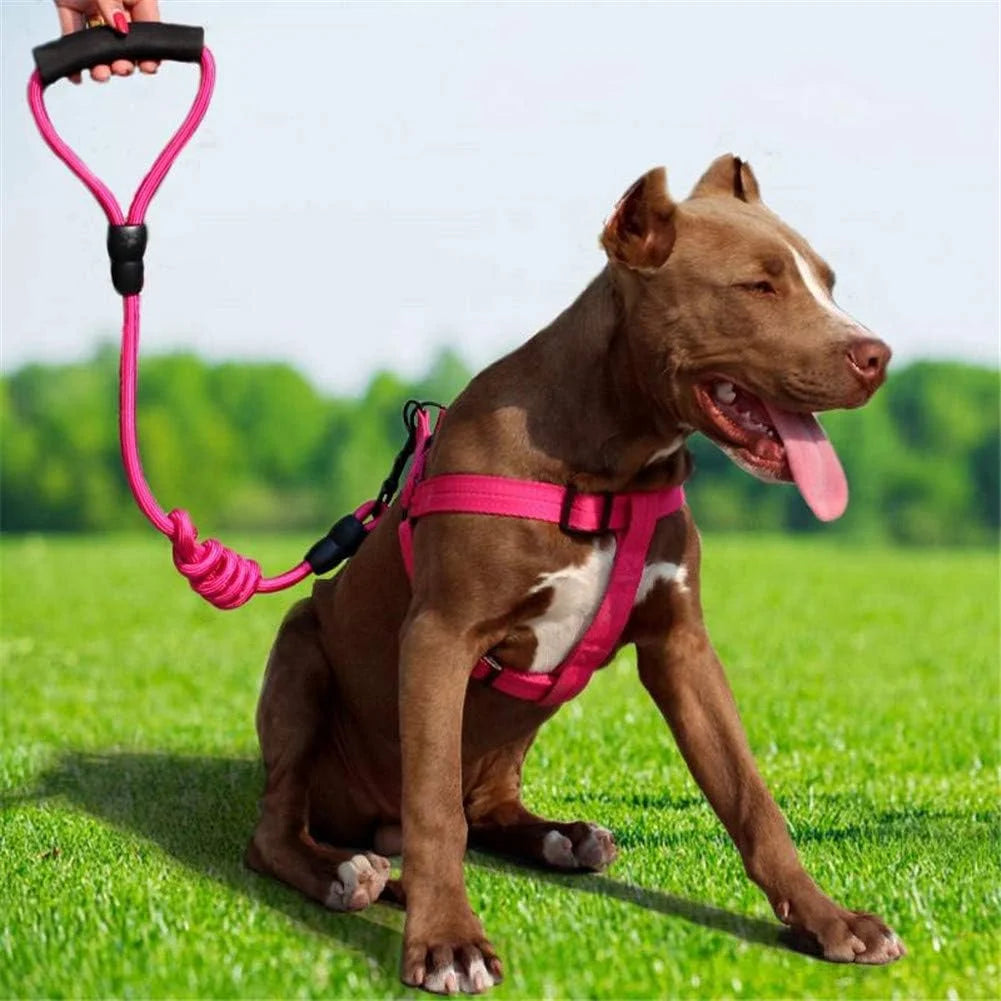 Swivel Locking Carabiner Clips Heavy Duty  Eco-friendly Material European Standard for Securing Pets Dog Leash Harness