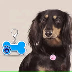 MZ Factory Wholesale Custom Nameplates for Pet Nameplates European Standard High Quality Nameplates