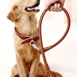 Cheap Carabiners Mini Carabiner Aluminum Alloy Triangle Spring Carabiner Hooks Snap Hook for Pet